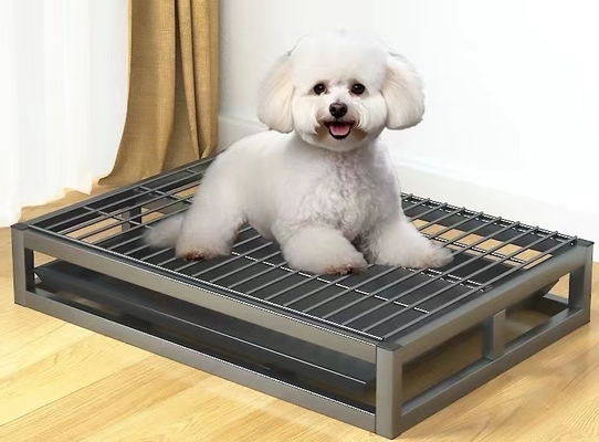 Square Tube Iron Wire Steel Frame for Dogs' Urinals Splash-proof and Step-proof Design