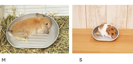 Stay Cool this Summer with Our Cooling Cat Pot Acceptable OEM ODM Aluminum Basin