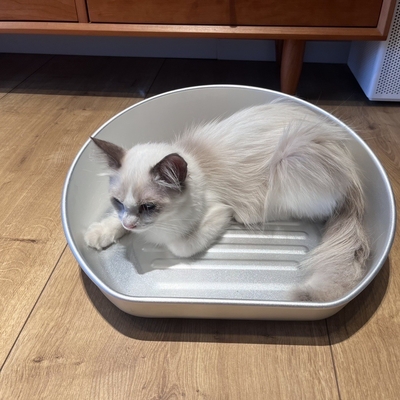 Stay Cool this Summer with Our Cooling Cat Pot Acceptable OEM ODM Aluminum Basin