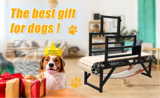 Item Type Others Pet Daily Trainning Dog Treadmill Slatmill for Pit Bull Running