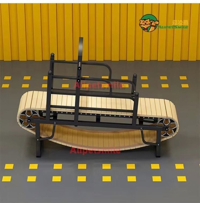 Customized Size Alipetsmile Pet Dog Treadmill Train Your Dog with Ease and Efficiency