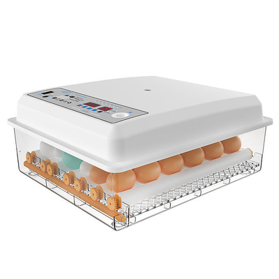 Shanghai or Nanjing Port Home Incubator for Hatching Chicken Duck Goose and Pigeon Eggs