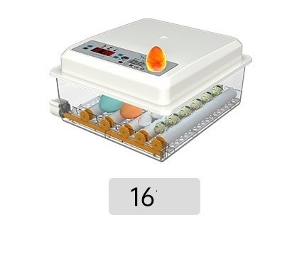 Shanghai or Nanjing Port Home Incubator for Hatching Chicken Duck Goose and Pigeon Eggs