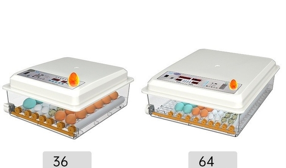 Shanghai or Nanjing Port Home Incubator for Hatching Chicken Duck Goose and Pigeon Eggs