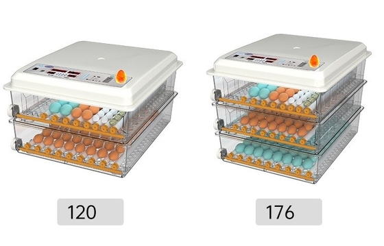 Shanghai or Nanjing Port Home Incubator for Hatching Chicken Duck Goose and Pigeon Eggs