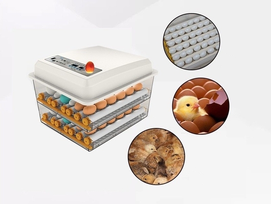 Shanghai or Nanjing Port Home Incubator for Hatching Chicken Duck Goose and Pigeon Eggs