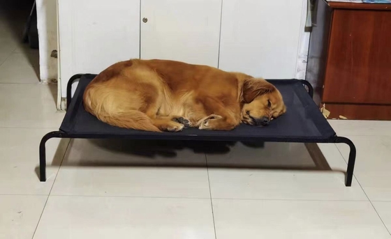 Animal Pattern Elevated Pet Bed for Summer Cooling Portable Camp Dog Bed in Shanghai