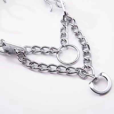 Silver Dog Collar for Pet Training Aheasoun Prong Collar Choke Collar Pinch Collar