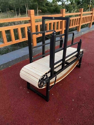 Stainless Steel Pet Treadmill for Dogs Keep Your Pet Active and Happy
