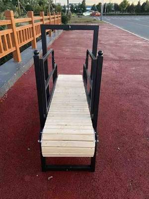 Pet Treadmill for Daily Training and Exercise 28cm/43kg/50kg Capacity