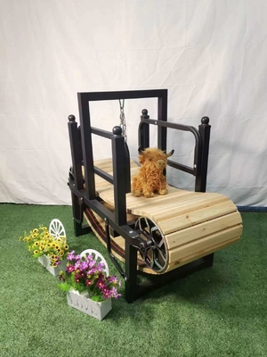 Small Dog Treadmill Manual Exercise Equipment with Custom Weight and 0.30mm Thickness