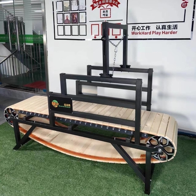 Big Animals' Ultimate Workout Solution Customized Dog Treadmill with Iron Alloy