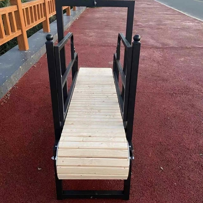 Aluminium Dog Treadmill Anodizing Sandblasted Walking Machine for Pit Bulls