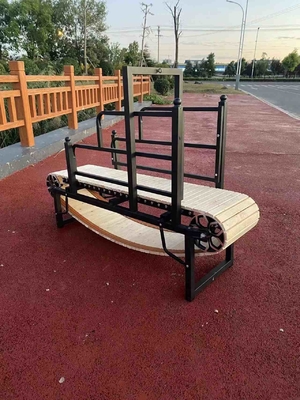 Sandblasted Powder Coated Dog Running Machine for Indoor Exercise Electrophoresis