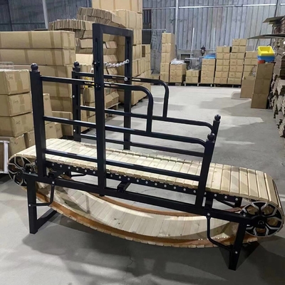 Experience the Benefits of Our Customized Logo Dog Treadmill Carpetmill for Dogs