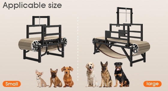 Stainless Steel Dog Treadmill for Alipetsmile Animal The Perfect Workout Companion