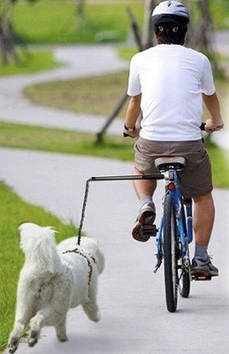 Hands-Free Dog Bike Training Lead Nylon Bicycle Leash for Jogging and Cycling 42.5*68cm