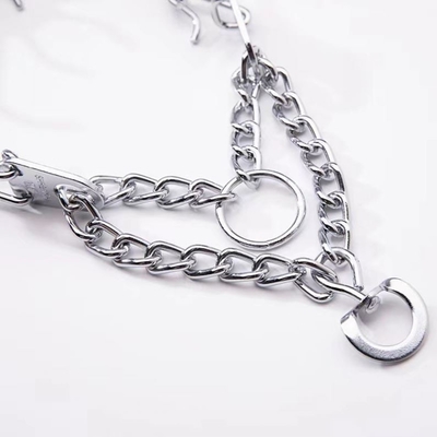 Walking Dog Explosion-Proof Sustainable Stainless Steel Collar for Safe and Training