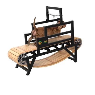 Sustainable Design Dog Treadmill for Training Loading Quantities 20 GP 70 Sets