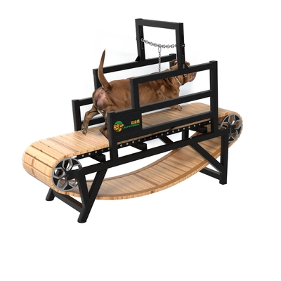 Pet Running Sustainable REPTILES Agility Training Wood Equipment for Indoor Sports