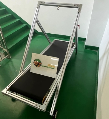Indoor/Outdoor Dog Treadmill Metal Steel Aluminium Slat Mill for Sustainable Training