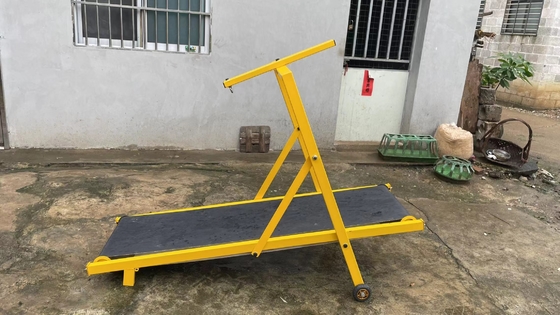 Folding Treadmill for Dogs Steel Agility Equipment in Different Colors and Sizes
