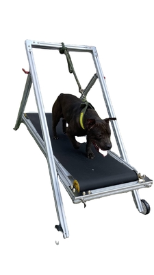 Aluminum Medium Big Dog Carpet Mill for Running and Training Acceptable OEM ODM Option