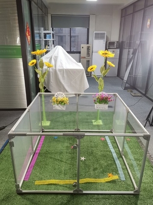 Transparent Large Space Pet Acrylic Dog Playpen with Button Closure and 12 Panels