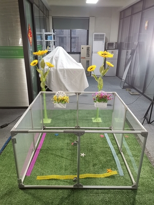 Large Transparent Acrylic Detachable Safety Playpen for REPTILES Indoor Cat Dog Fence