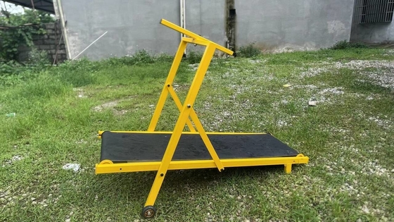 20 GP Loading 70 Sets Dogs' Exercise Companion Iron Treadmills for Home or Outdoor