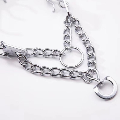 Modern Style Pet Training Chain Dog Collar Silver Material for Effective Training