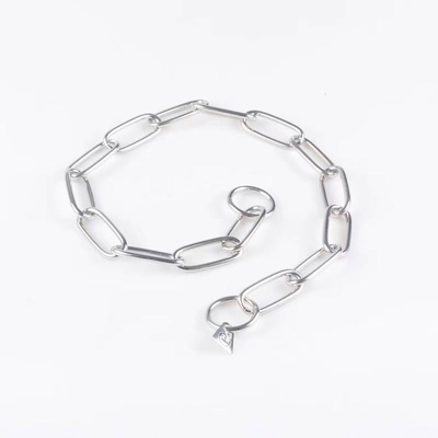 Pet Training Dog Collar with Fashionable Animal Pattern and Stainless Steel Chain