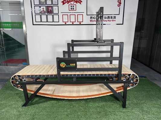 Sustainable Wood Dog Treadmill for Medium Large Breeds Health Training Tool