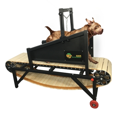 Mechanical Dog Treadmill for Big Dogs Acceptable OEM ODM Wheels Design Included