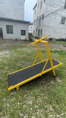 20 GP Loading 70 Sets Adjustable Pet Dog Running Machine Iron Treadmill for Dog Training