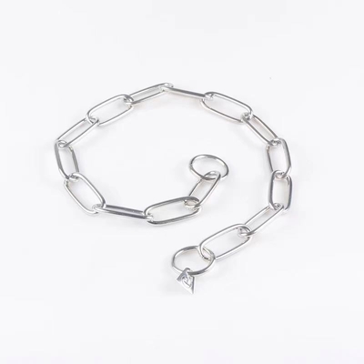 Pet Training Stainless Steel Dog Collar with Metal Pulling Rope and Bite-proof Chain