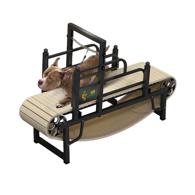 Custom Noiseless Pet Dog Treadmill for Small Medium or Large Dogs Powder Coating Finish