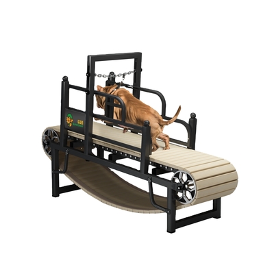 Custom Noiseless Pet Dog Treadmill for Small Medium or Large Dogs Powder Coating Finish