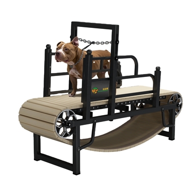 Custom Noiseless Pet Dog Treadmill for Small Medium or Large Dogs Powder Coating Finish