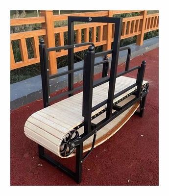 Electrophoresis Dog Treadmill for Sustainable and Effective Training
