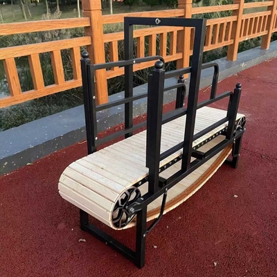 Electrophoresis Dog Treadmill for Sustainable and Effective Training