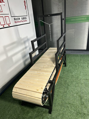 Sustainable Dog Treadmill for Effective Cardio Training Keep Your Pet Healthy