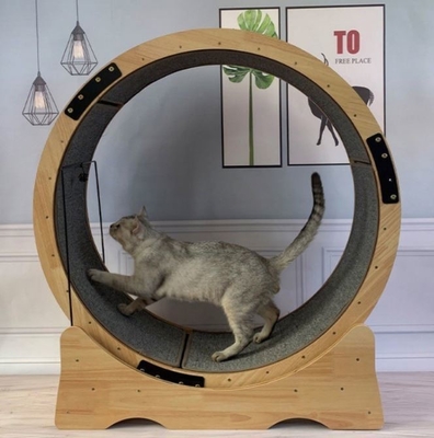 Fun Treadmill Toy for Cats Interactive Anti-depression Fiber Board Pet Exercise Wheel