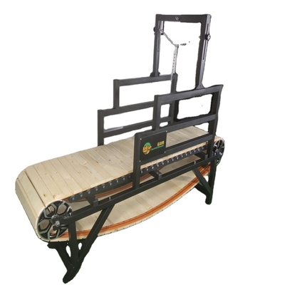 Customized Pet Daily Trainning Treadmill Machine for Big Dogs Exercise Equipment