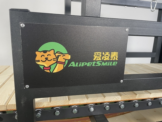 Customized Pet Daily Trainning Treadmill Machine for Big Dogs Exercise Equipment