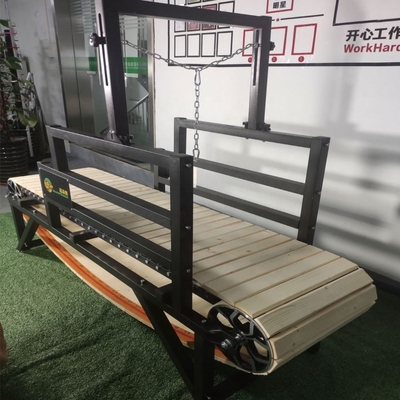 Customized Pet Daily Trainning Treadmill Machine for Big Dogs Exercise Equipment