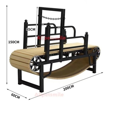 Stocked Dog Treadmill for Big Dogs Small Animals Approved and Customized Design