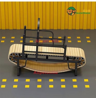 Large Dog Treadmill for Optimal Exercise Anodizing Powder Coating or Electrophoresis