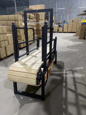Large Dog Treadmill for Optimal Exercise Anodizing Powder Coating or Electrophoresis