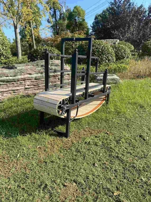 Large Dog Treadmill for Optimal Exercise Anodizing Powder Coating or Electrophoresis